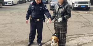 巡逻民警暖心寻犬守护群众财产安全