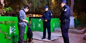 宣教“走新” 服务“走心”  冰城公安送您一份文明养犬新攻略