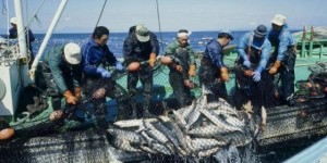 《中方全面暂停进口日本水产品，福岛核污染水排海引关注》