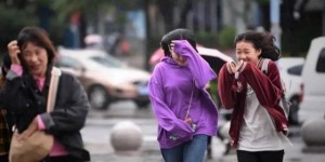 厦门清晨寒意袭人，高山茶园出现霜冻