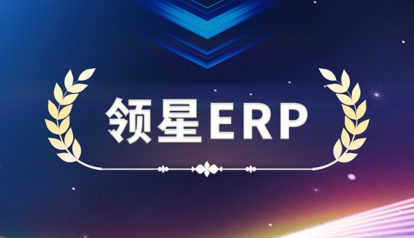 领星ERP荣获“灼耀之星”大奖，企业实力再获权威认可