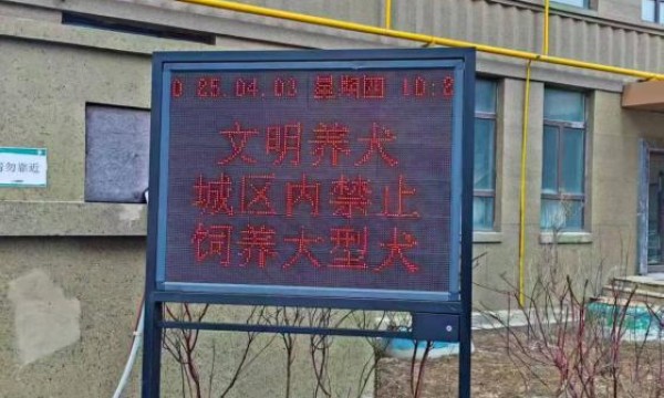 冰城公安喊你“牵绳铲屎”啦！