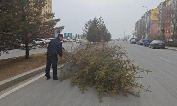 大树倒地拦路 民警紧急处置