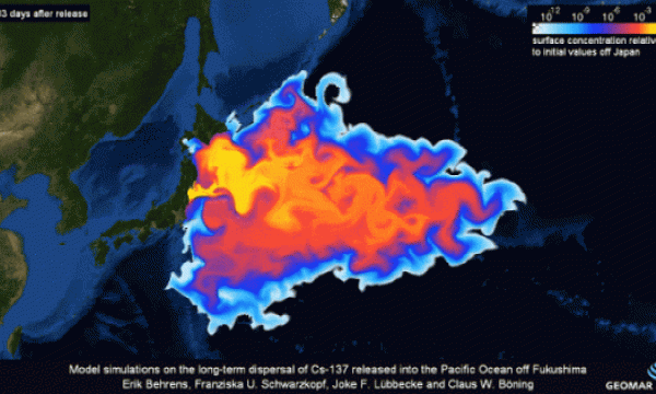 日本正式启动核污染水排海，我国已组织开展海洋辐射环境监测，海鲜还能吃吗？如何保证涉日食品安全？